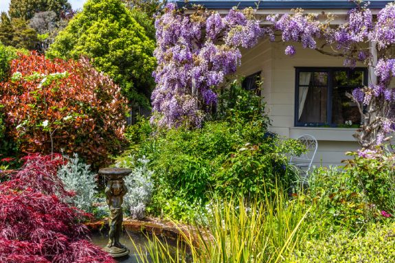 garden setting